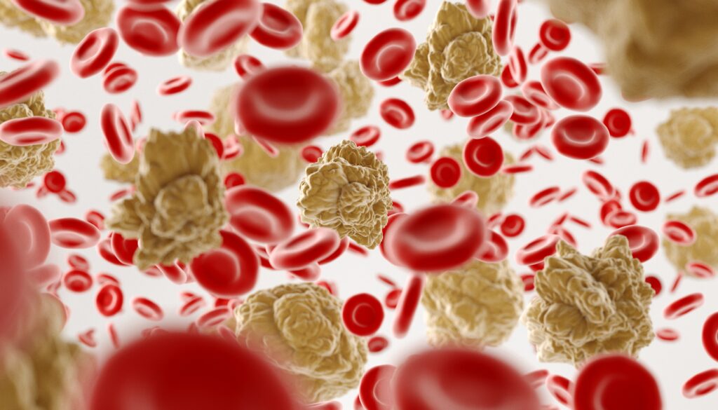 T-Cells Red blood cells