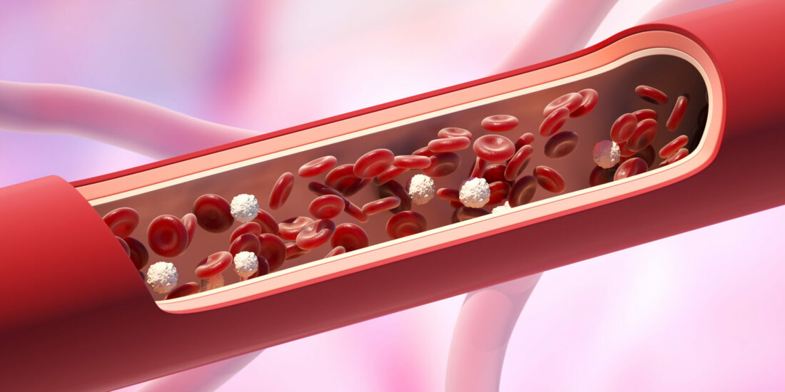 Effects of sub-chronic, in vivo administration of sigma non-opioid intracellular receptor 1 ligands on platelet and aortic arachidonate cascade in rats