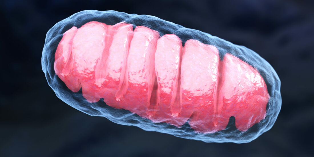 PERK, Beyond an Unfolded Protein Response Sensor in Estrogen-Induced Apoptosis in Endocrine-Resistant Breast Cancer