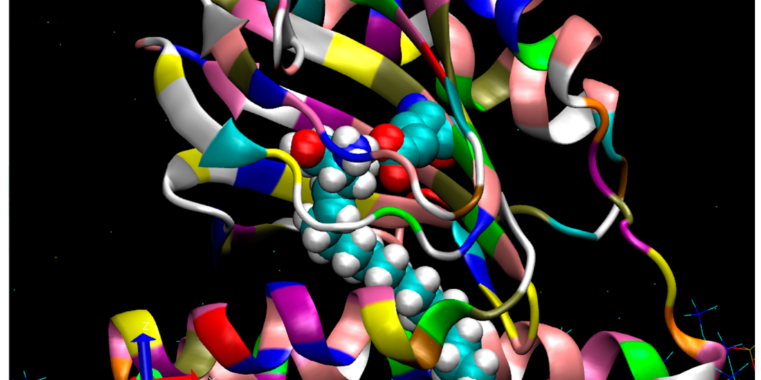 Sphingoid Bases Regulate the Sigma-1 Receptor—Sphingosine and N,N’-Dimethylsphingosine Are Endogenous Agonists